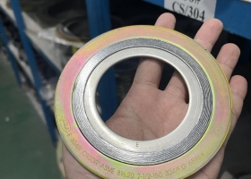 Gasket CS/304 