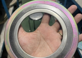 Gasket CS/316 