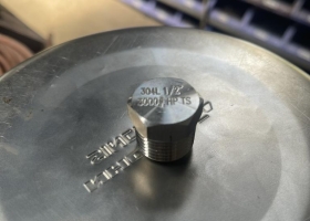 Plug NPT #3000